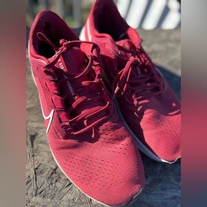 Men's Nike Pegasus 38